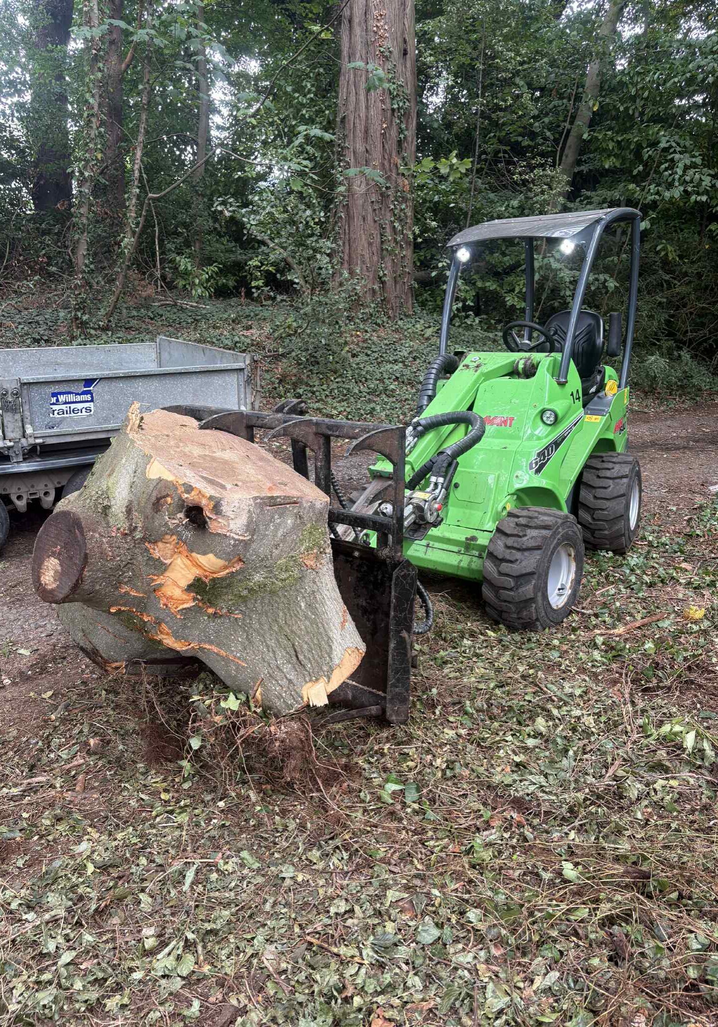 Commercial Tree Surgeon